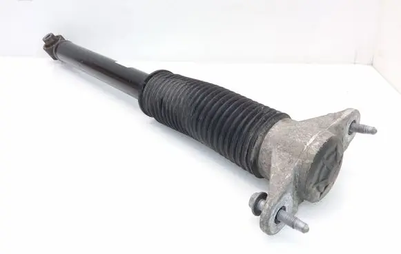 Tesla Model 3 Rear shock absorber/damper 104446101E