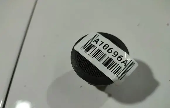Front door speaker