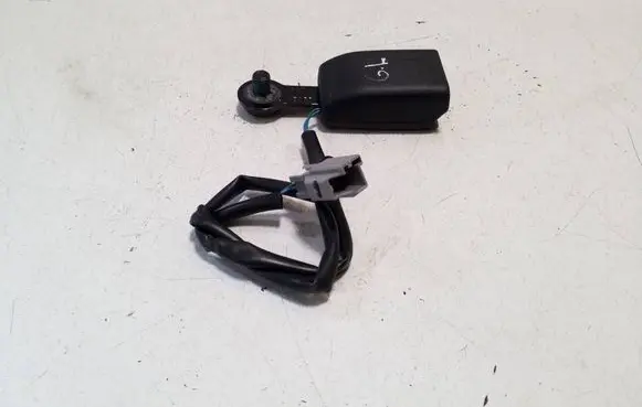 Tesla Model S Rear seatbelt buckle 101879100D