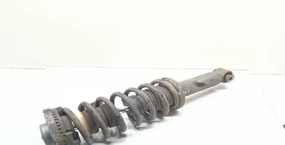 BMW X3 F25 Rear shock absorber with coil spring 6796317 33526796317