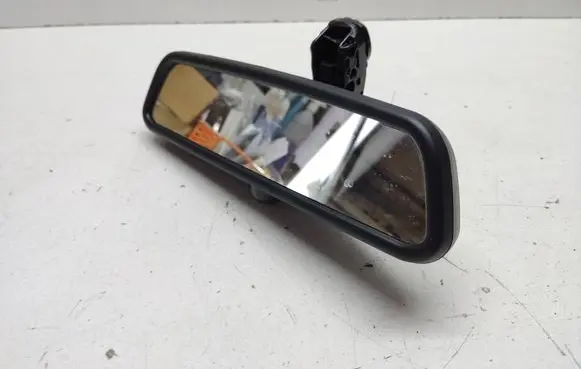 BMW X1 E84 Rear view mirror (interior) E1020588 E1010588