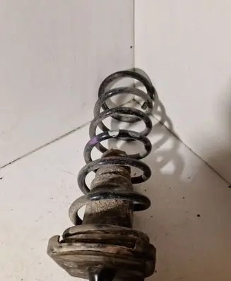 Rear coil spring