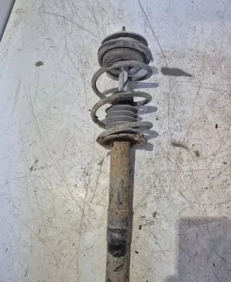 BMW 5 E39 Front shock absorber with coil spring