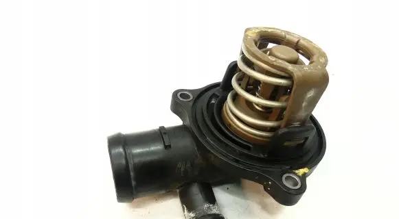 Thermostat/thermostat housing