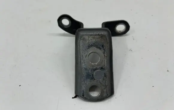 Toyota C-HR I Rear door lower hinge 