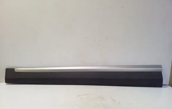 MG ZS Front door trim (molding) 10360762