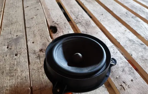 Renault Laguna III Rear door speaker
