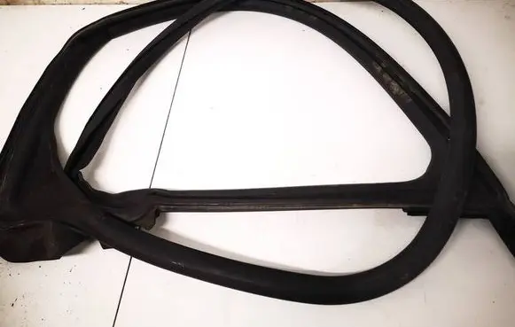 Tesla Model S Rubber seal front coupe door TMSPZ05