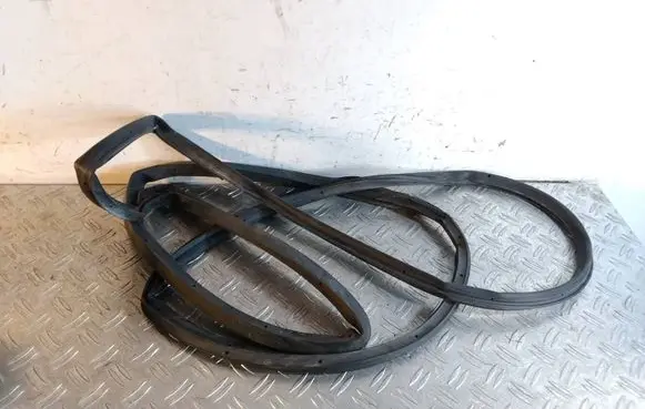 Toyota RAV 4 (XA40) Rubber seal front door (on door) 410AZ01