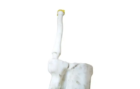 Renault Master III Windshield washer fluid reservoir/tank 2891000023R