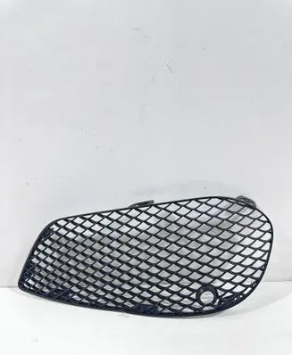 Front bumper lower grill
