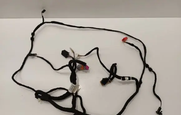 Front door wiring loom