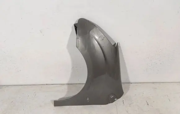 Citroen Berlingo Fender