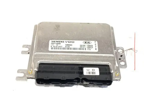 Engine control unit/module ECU