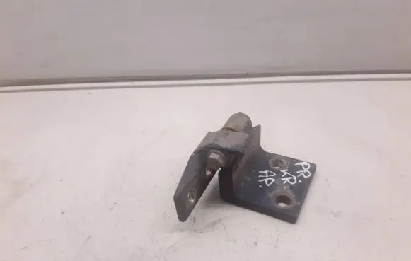 Peugeot 406 Front door lower hinge 