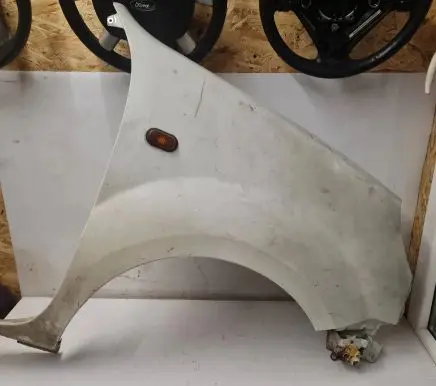 Renault Kangoo I Fender
