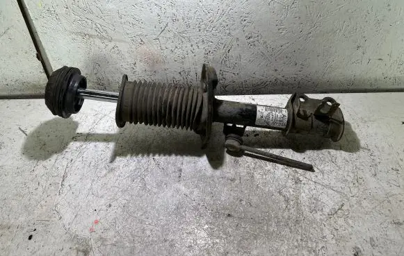 Fiat Punto (188) Front shock absorber/damper