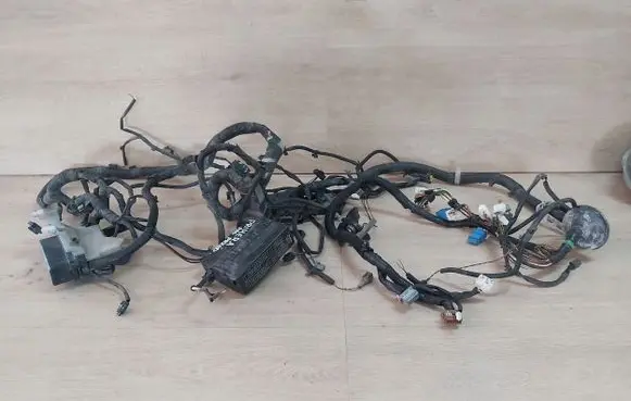 Nissan Primera Other wiring loom