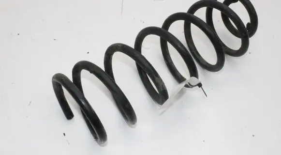 Ford Transit - Tourneo Connect Rear coil spring DV615560EC