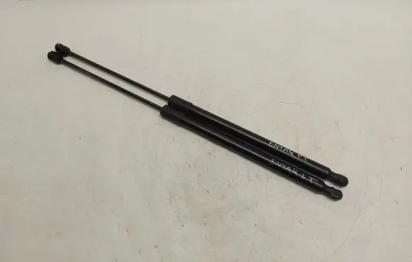 Tailgate strut
