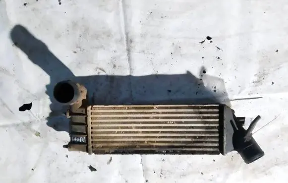Peugeot 807 Intercooler radiator