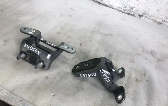 Nissan Juke II F16 Rear door hinge set 