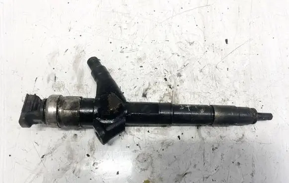 Nissan Pathfinder R51 Fuel injector 16600eb300 01h12523