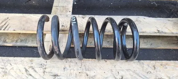 Mitsubishi Grandis Rear coil spring