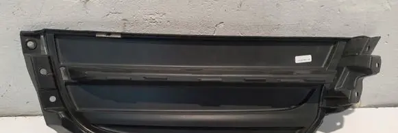 Porsche Panamera (971) Front bumper lower grill 971807486