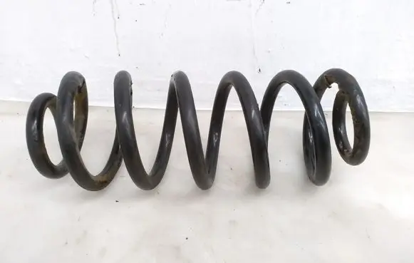 Rear coil spring