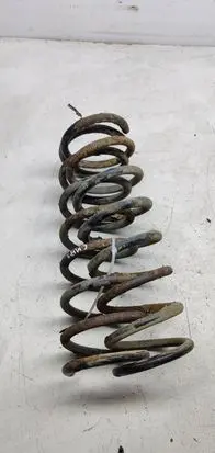 Ford Focus C-MAX Rear coil spring
