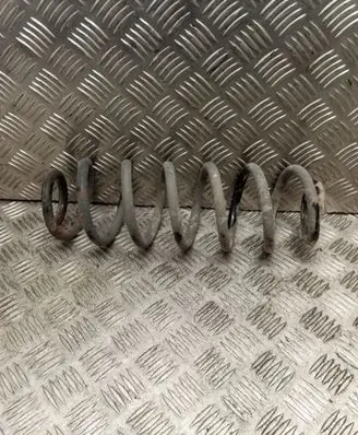 Volkswagen PASSAT B6 Rear coil spring
