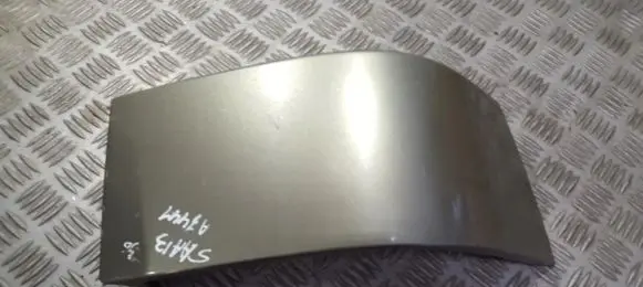 Rear/tail light trim molding