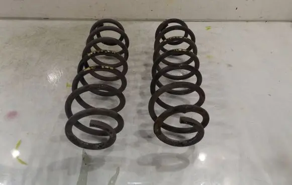 Rear coil spring