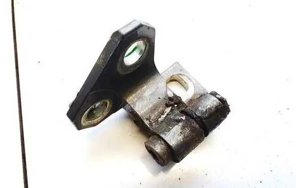 Rear door lower hinge