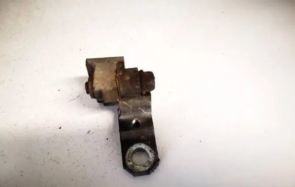 Rear door lower hinge