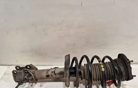 Fiat Doblo Front shock absorber/damper