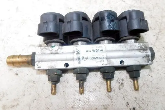 Dacia Sandero LP gas injector 110R-000044 191845