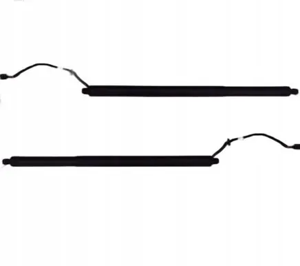 Tailgate/trunk strut/damper