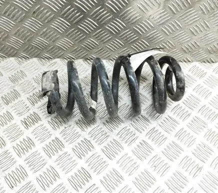 Volkswagen ID.4 Rear coil spring 1EA511103J