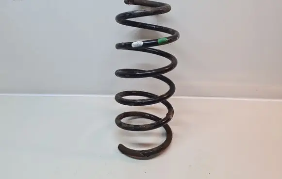 Front coil spring