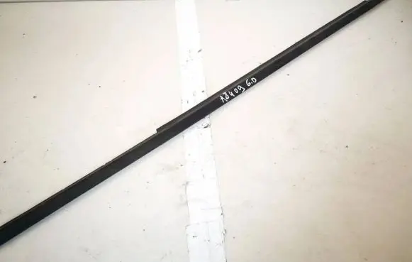 Rear door glass trim molding