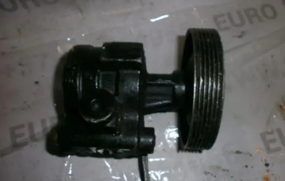 Renault 19 Power steering pump