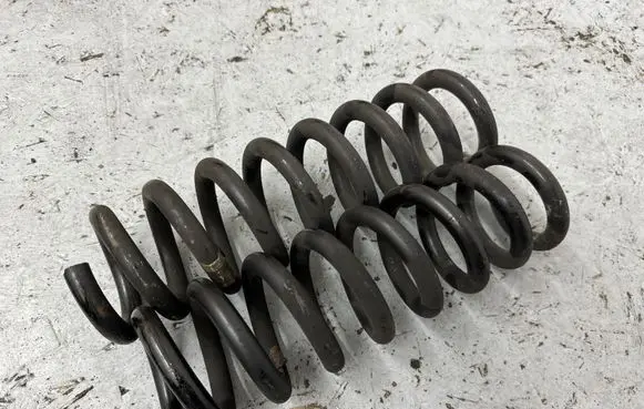 Rear coil spring