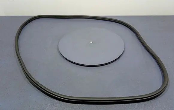 BMW X3 E83 Front door rubber seal 7393423