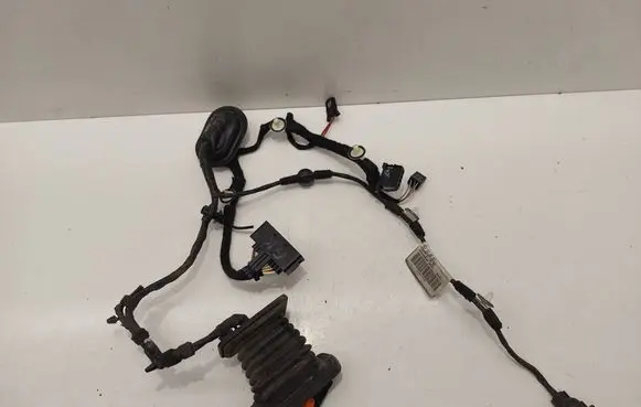 Volkswagen Golf V Rear door wiring loom 1K9971693R 016298AN