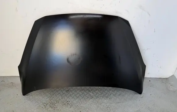 Ford Fiesta Engine bonnet/hood PH1BBA16610AH