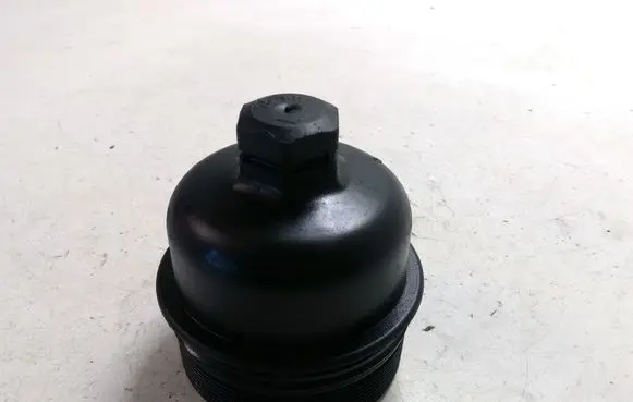 Citroen C4 Grand Picasso Oil filter cover 9878307