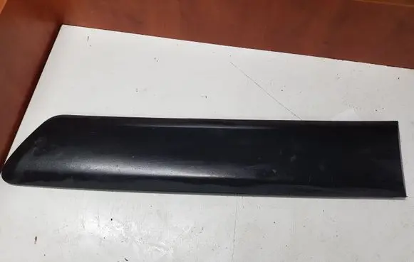 Rear door trim (molding)