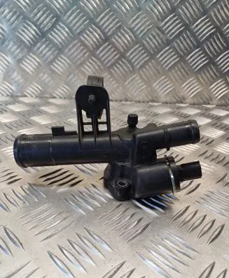 Thermostat/thermostat housing